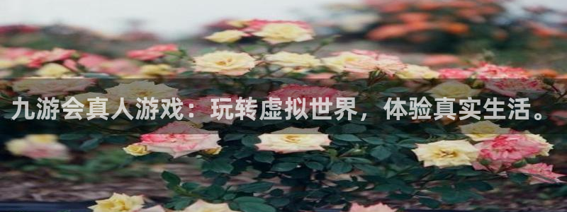 今年会发洪水吗：九游会真人游戏：玩转虚拟世界，体验真实生活。