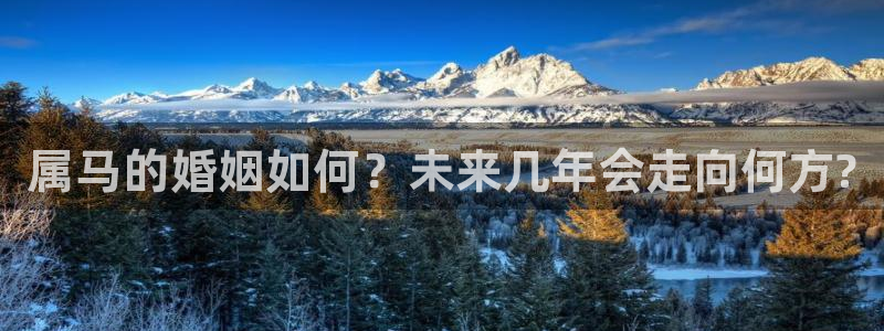 今年会延迟开学吗：属马的婚姻如何？未来几年会走向何方?