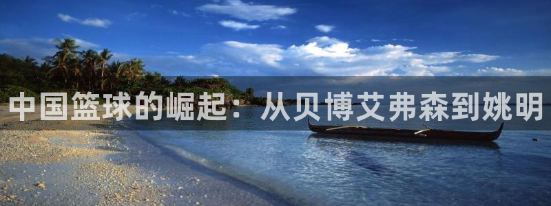 壹号app下载官方网站：中国篮球的崛起：从贝博艾弗森到姚明