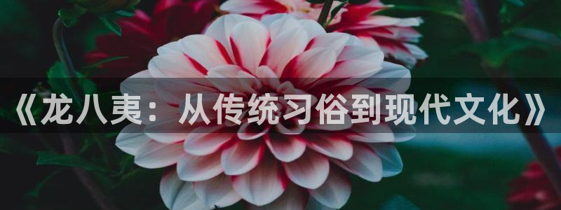 属马的今年会离婚吗：《龙八夷：从传统习俗到现代文化》
