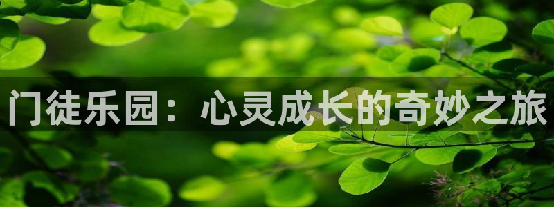 今年会脱单吗：门徒乐园：心灵成长的奇妙之旅