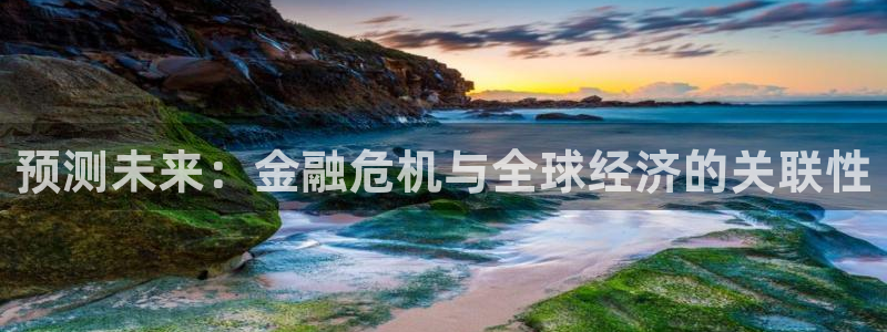 属猪的今年会离婚吗：预测未来：金融危机与全球经济的关联性