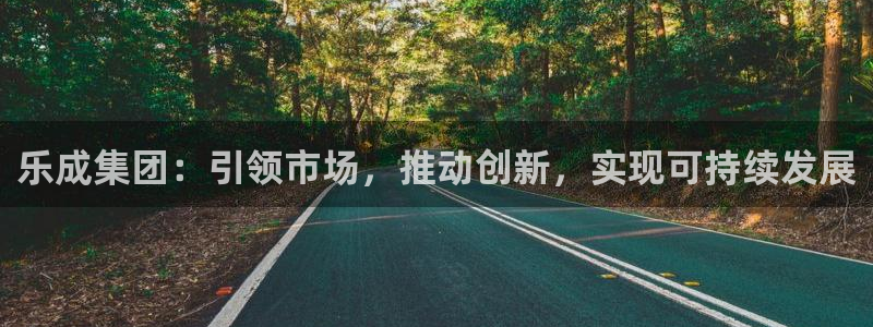 今年会网页版登：乐成集团：引领市场，推动创新，实现可持续发展