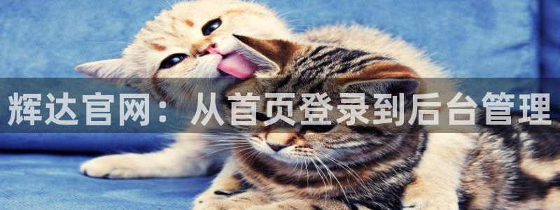 壹号下载安装：辉达官网：从首页登录到后台管理
