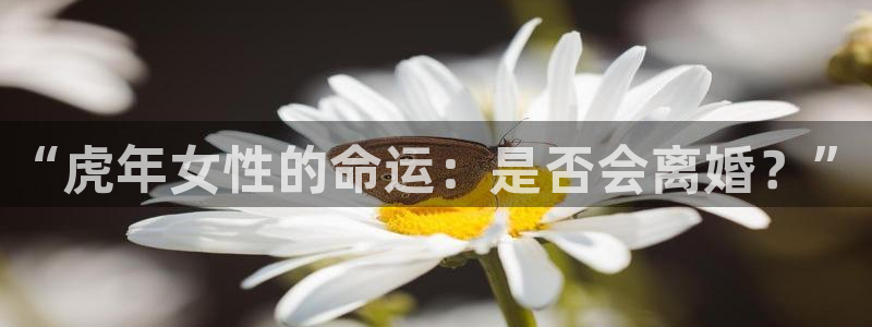 今年会热到什么时候：“虎年女性的命运：是否会离婚？”