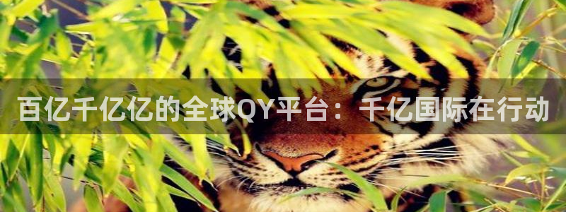 今年会出5g手机吗：百亿千亿亿的全球QY平台：千亿国际在行动