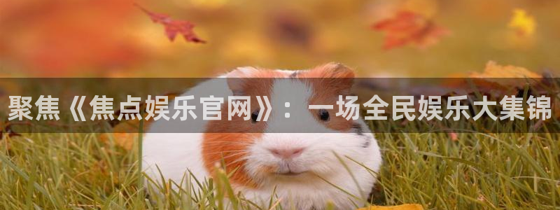 今年会app注册地址：聚焦《焦点娱乐官网》：一场全民娱乐大集锦