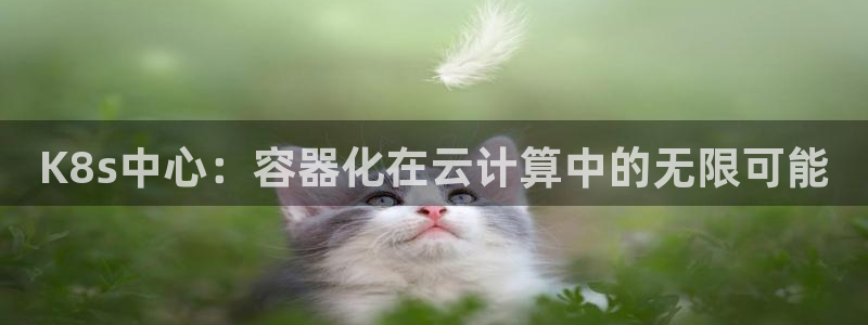 今年会平台：K8s中心：容器化在云计算中的无限可能