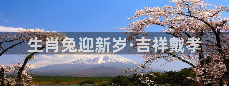 壹号平台下载：生肖兔迎新岁·吉祥戴孝