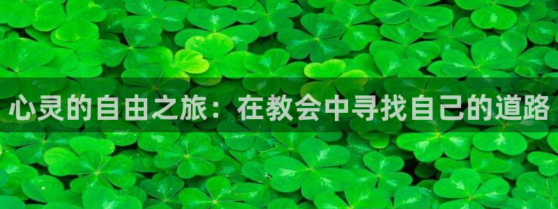 属鸡的今年会发财吗：心灵的自由之旅：在教会中寻找自己的道路