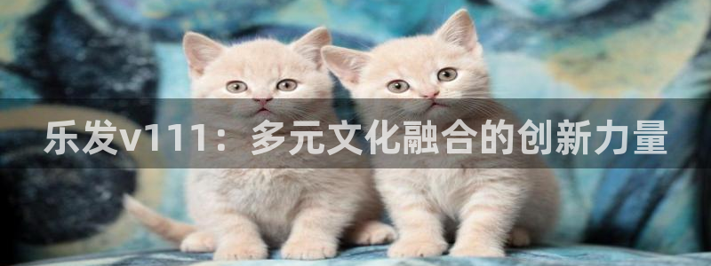 今年会苹果手机下载链接：乐发v111：多元文化融合的创新力量