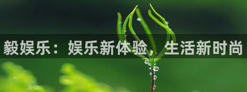 90年属马今年会脱单吗：毅娱乐：娱乐新体验，生活新时尚