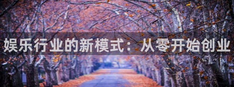今年会涨价吗：娱乐行业的新模式：从零开始创业