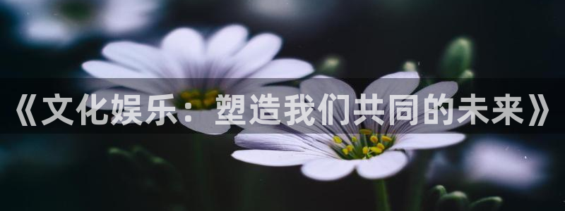 今年会入口：《文化娱乐：塑造我们共同的未来》