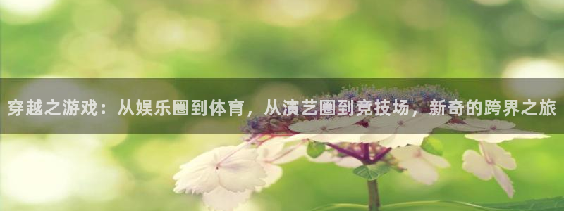 今年会的平台：穿越之游戏：从娱乐圈到体育，从演艺圈到竞技场，新奇的跨界之旅