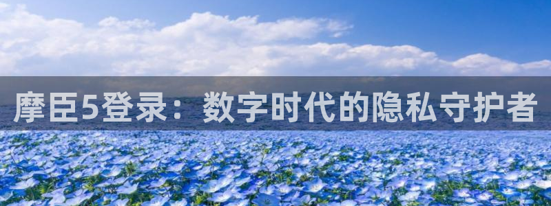 今年会是什么：摩臣5登录：数字时代的隐私守护者
