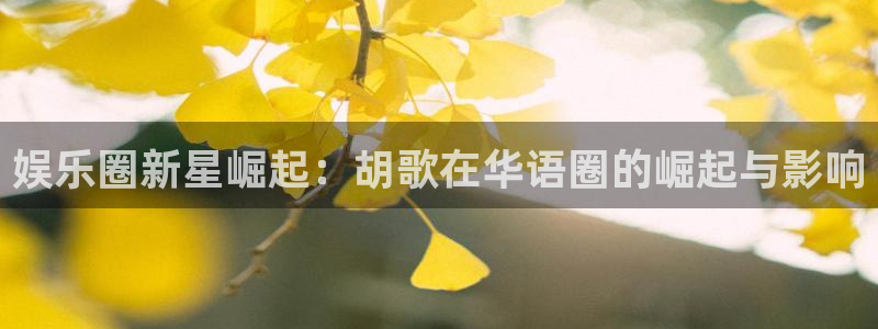算命的说我今年会戴孝：娱乐圈新星崛起：胡歌在华语圈的崛起与影响