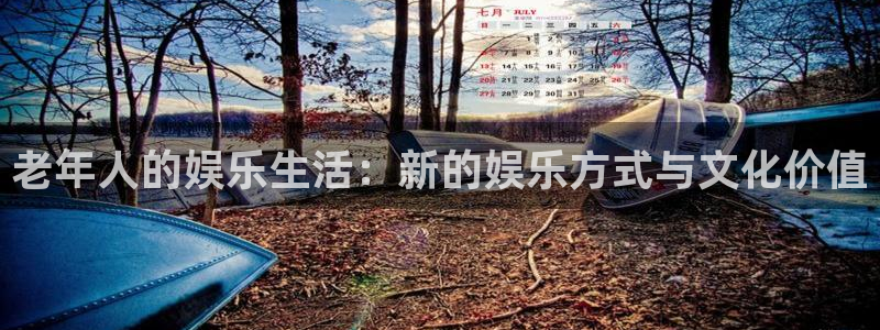 st峡创 今年会摘帽吗：老年人的娱乐生活：新的娱乐方式与文化价值