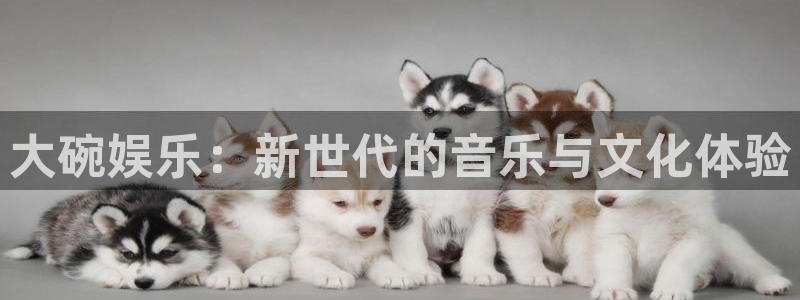 81年今年会离婚吗：大碗娱乐：新世代的音乐与文化体验