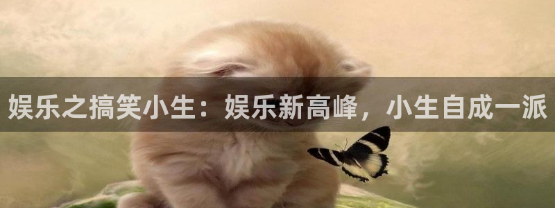 今年会是大平台吗：娱乐之搞笑小生：娱乐新高峰，小生自成一派