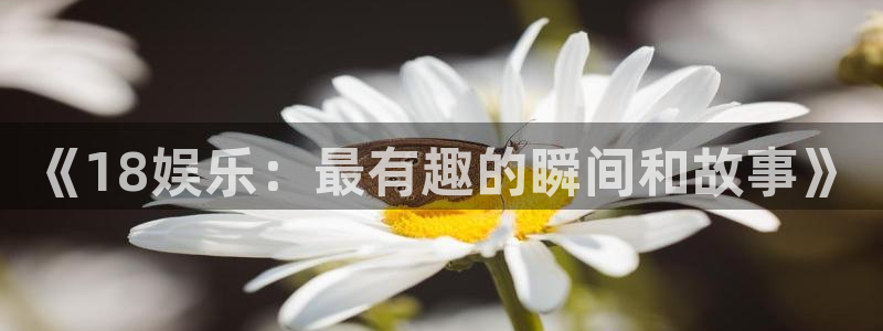 属兔的今年会发生什么事情：《18娱乐：最有趣的瞬间和故事》