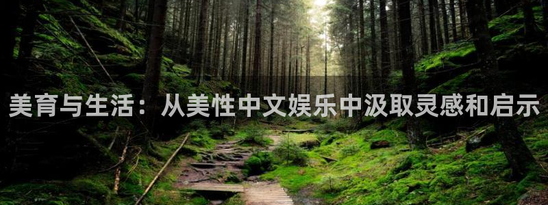 今年会冷吗?：美育与生活：从美性中文娱乐中汲取灵感和启示