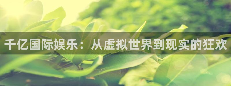 今年会官网版：千亿国际娱乐：从虚拟世界到现实的狂欢
