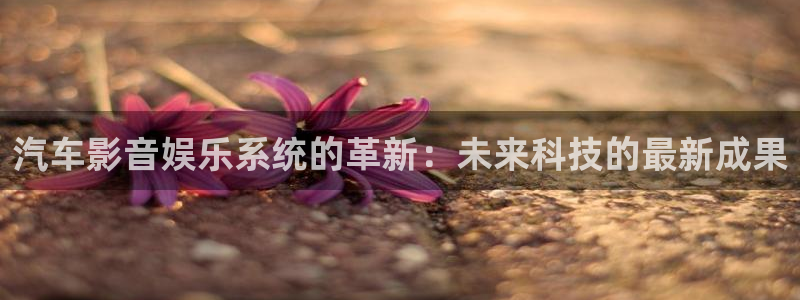 今年会加拿大官网：汽车影音娱乐系统的革新：未来科技的最新成果