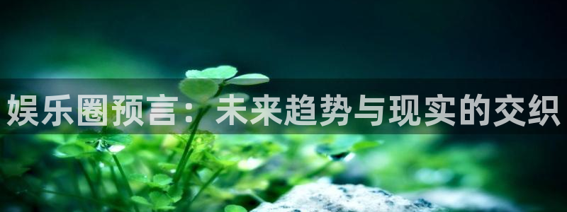 今年会加拿大app预测：娱乐圈预言：未来趋势与现实的交织