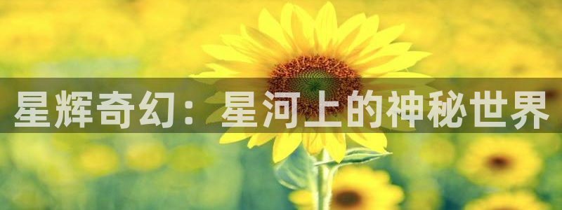 今年会娱乐：星辉奇幻：星河上的神秘世界